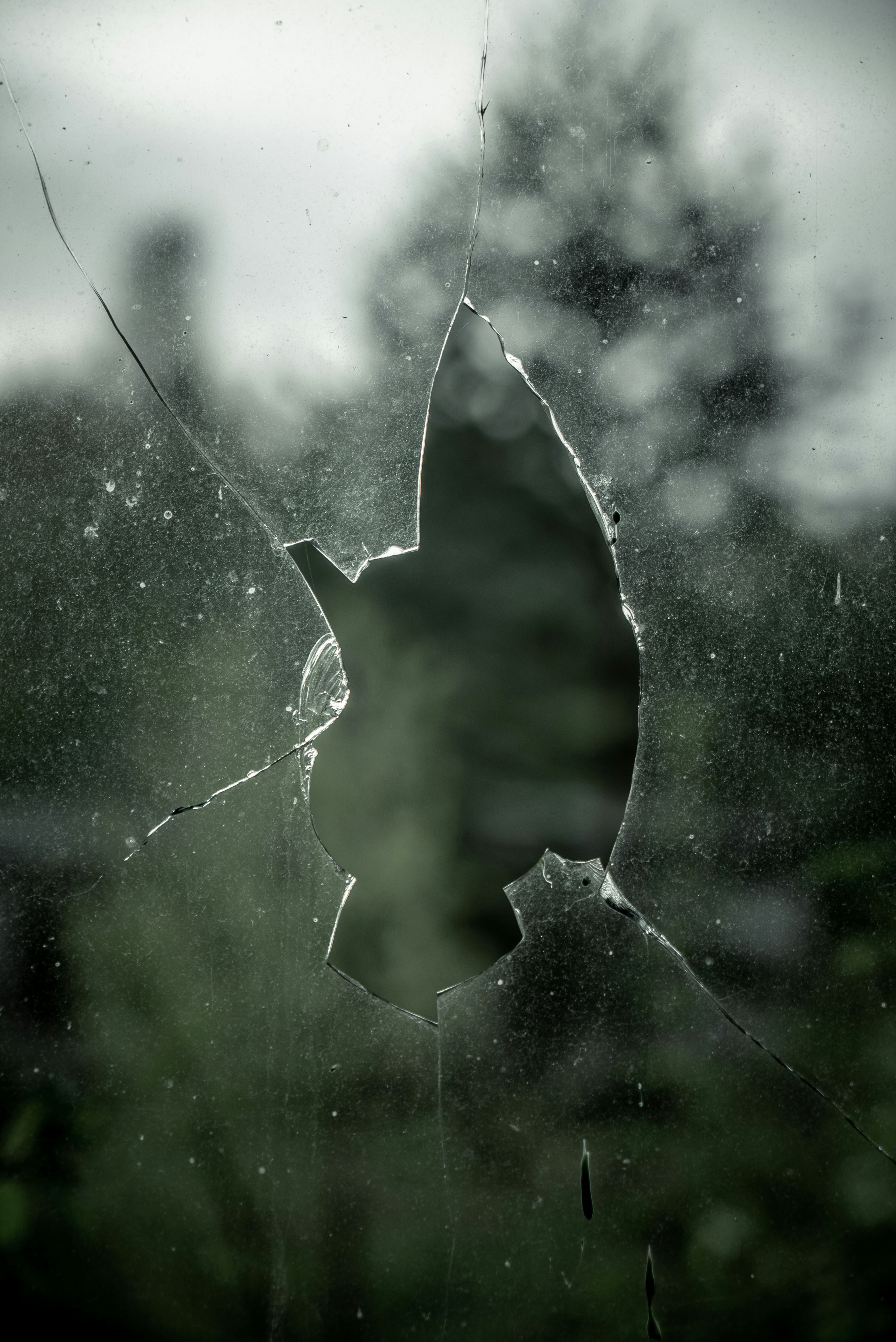 Lutte contre le vandalisme